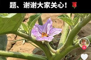 ?三节怒轰52分！布克第三节爆砍20分 上一次20+还是在首节！